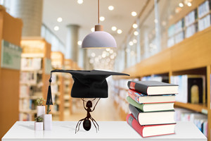 華北電力大學(xué)在職研究生即將開班