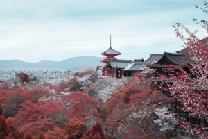 北京第二外国语学院日本留学预科,日本留学