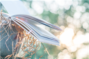 北京市博文學(xué)校各年級(jí)的費(fèi)用一年多少錢?