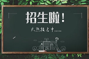 对外经济贸易大学英美澳加留学预科,留学预科