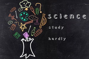 华北电力大学在职研究生哪个专业学费低?