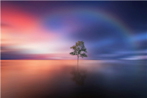 中国社会科学院在职课程班招生外地学员吗?