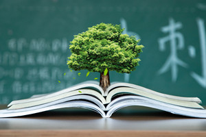 西南政法大学在职研究生毕业后可以获得什么证书?