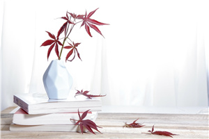 东华理工大学在职研究生招生专业及学费详解