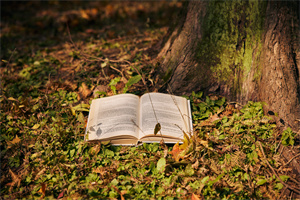 2025河南大學(xué)在職研究生好考嗎