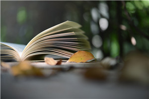 2025北京科技大学中外合作办学硕士如何报名?