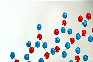 北京科技大学中外合作办学硕士有哪些专业课程?