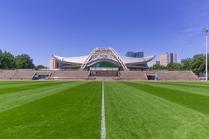 北京理工大学出国留学招生人数