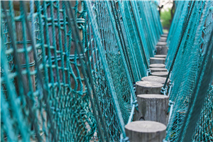 2025北京在职研究生专业一览表