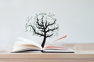 本科学历报考河南大学在职研究生有几种方式?