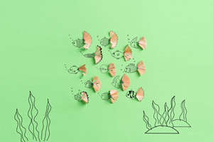 北京同等学力申硕考试报名流程有哪些?