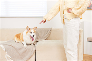 武汉工程大学在职研究生证书社会认可度高不高？