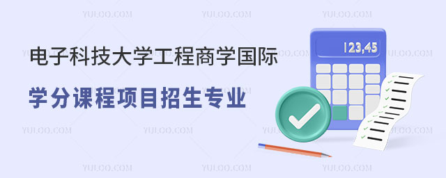 电子科技大学工程商学国际学分课程项目