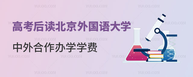 北京外国语大学中外合作办学学费