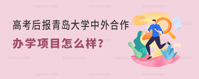 青岛大学中外合作办学项目