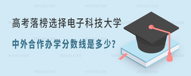 电子科技大学中外合作办学分数线