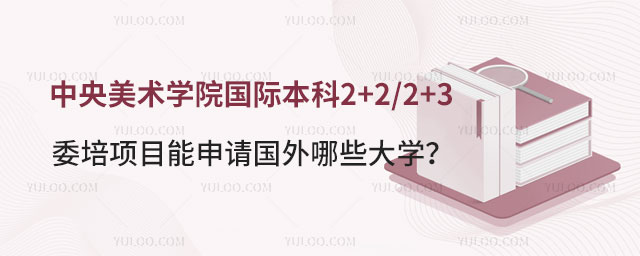 中央美术学院国际本科课程2+2/2+3委培项目