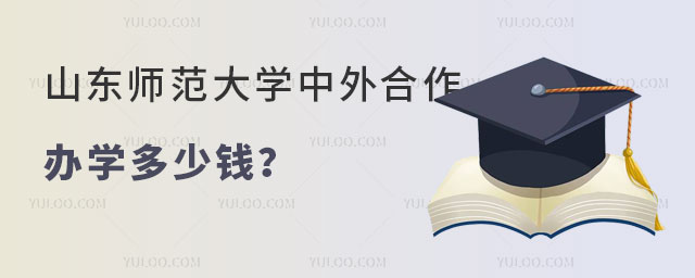 山东师范大学中外合作办学多少钱