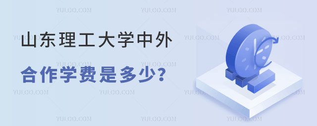 山东理工大学中外合作学费