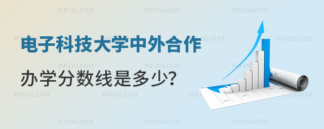 电子科技大学中外合作办学分数线