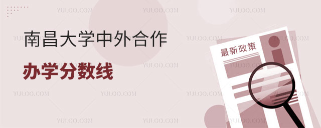 南昌大学中外合作办学分数线