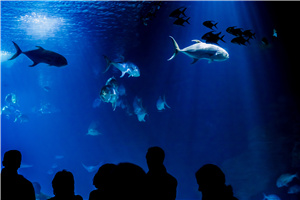 湖北师范大学在职研究生获得硕士学位证容易吗？