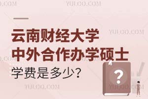 云南财经大学中外合作办学硕士学费是多少？