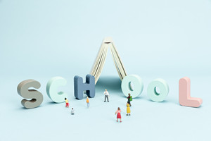 上海对外经贸大学在职课程培训班分数线是多少？