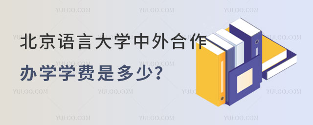 北京语言大学中外合作办学学费