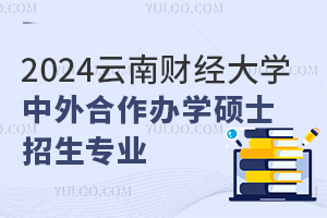 2025年云南财经大学中外合作办学硕士招什么专业？