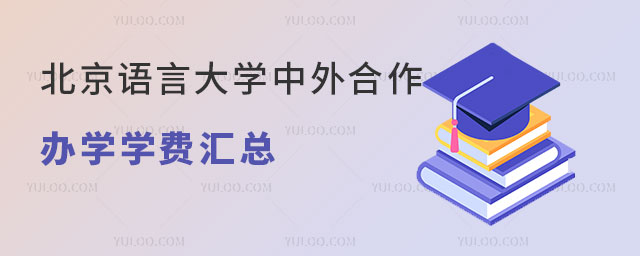 北京语言大学中外合作办学学费