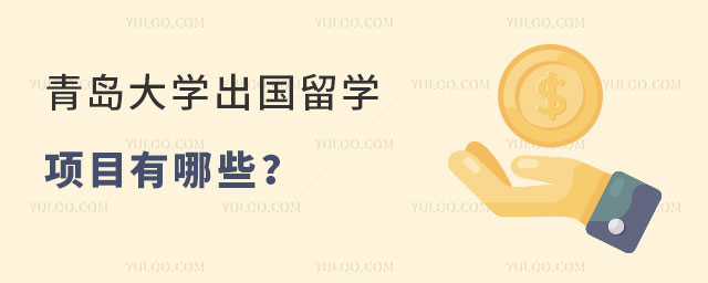 青岛大学出国留学项目