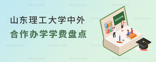 山东理工大学中外合作办学学费