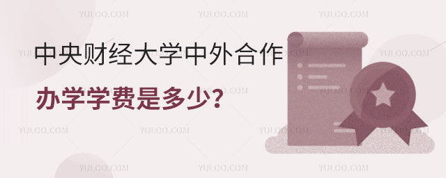中央财经大学中外合作办学学费