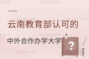 云南教育部认可的中外合作办学大学有哪些？
