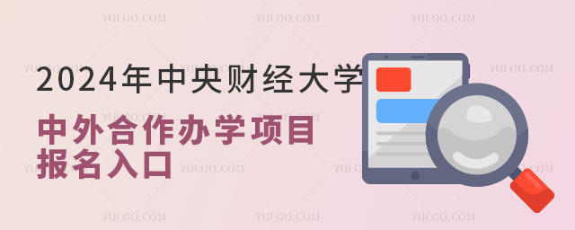 2024年中央财经大学中外合作办学项目