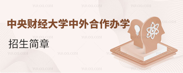 中央财经大学中外合作办学