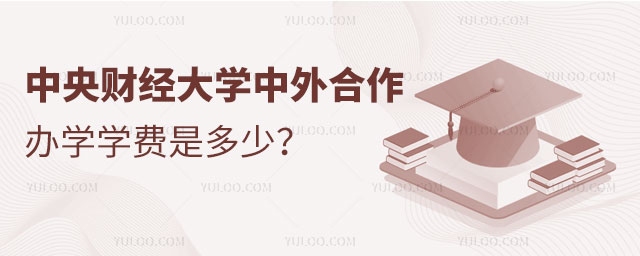 中央财经大学中外合作办学
