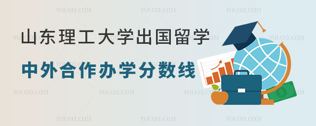 山东理工大学中外合作办学分数线.jpg
