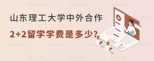 山东理工大学中外合作办学