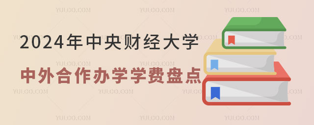 2024年中央财经大学中外合作办学学费.jpg