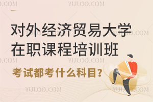 对外经济贸易大学在职课程培训班考试都考什么科目？