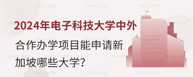 2024年电子科技大学中外合作办学项目.jpg