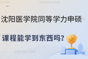 沈阳医学院同等学力申硕课程能学到东西吗？