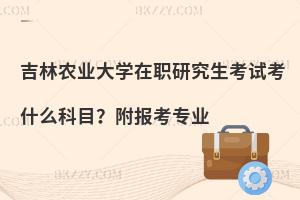 吉林农业大学在职研究生考试考什么科目？附报考专业