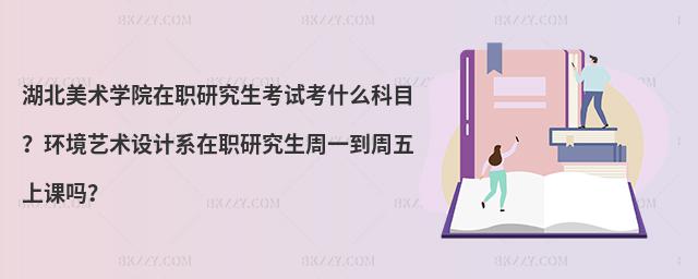 湖北美术学院在职研究生考试考什么科目？环境艺术设计系在职研究生周一到周五上课吗？