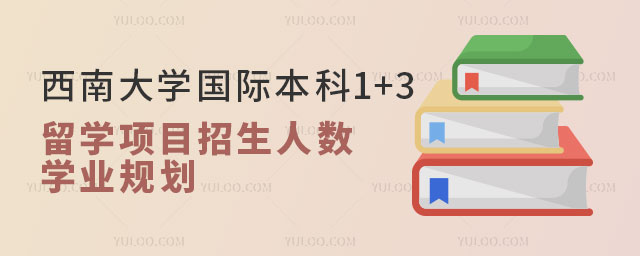 西南大学国际本科1+3留学项目招生人数.jpg