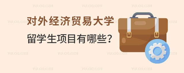 对外经济贸易大学留学生项目