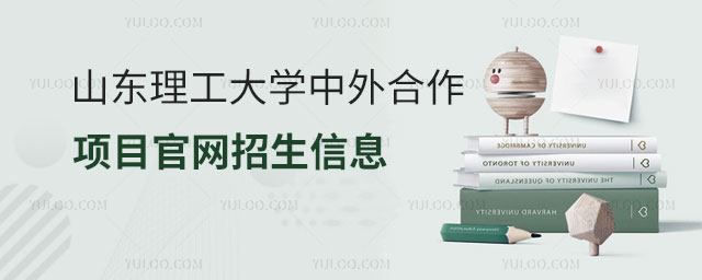 山东理工大学中外合作办学项目官网