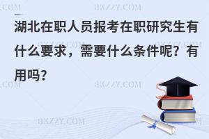 湖北在职人员报考在职研究生有什么要求，需要什么条件呢？有用吗？